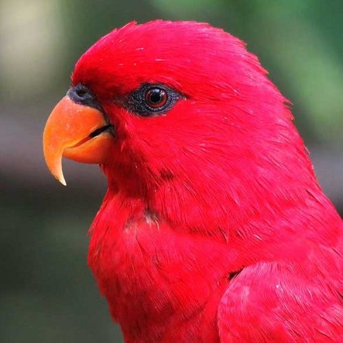 Minha experiência com ansiedade e depressão