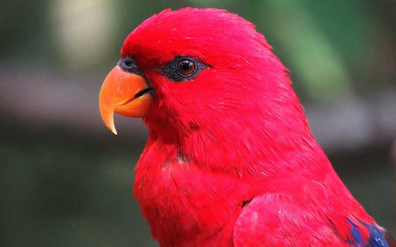 Minha experiência com ansiedade e depressão