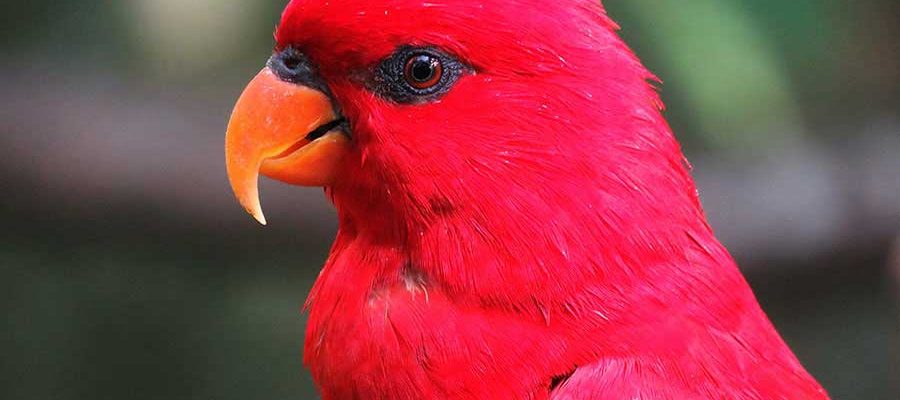 Minha experiência com ansiedade e depressão