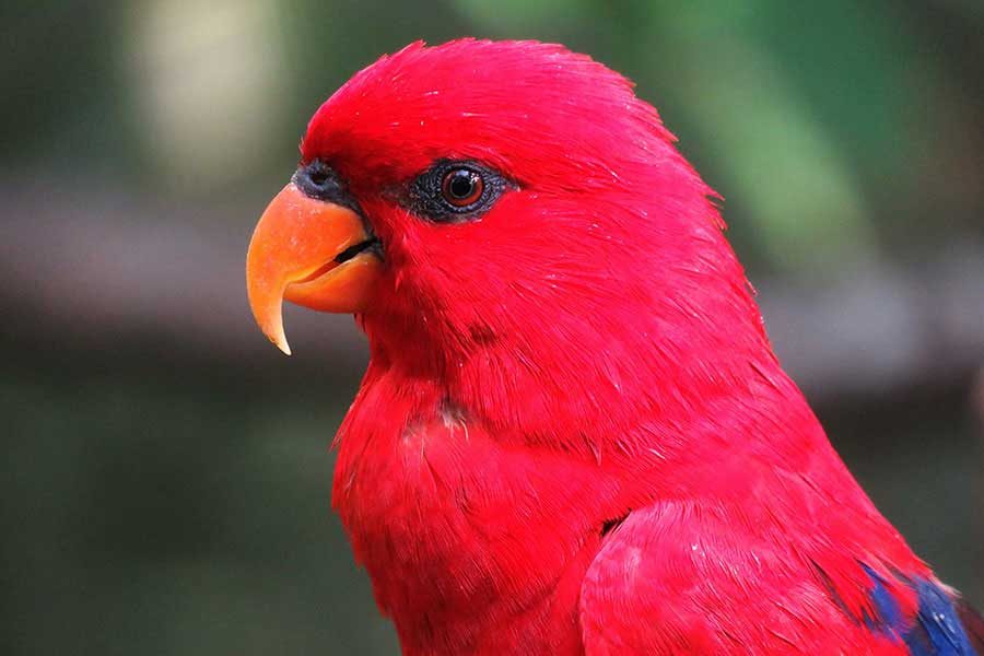 Minha experiência com ansiedade e depressão