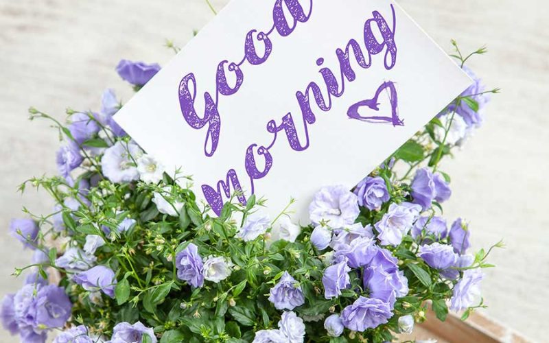 Perspectiva: vendo a vida com novos olhos