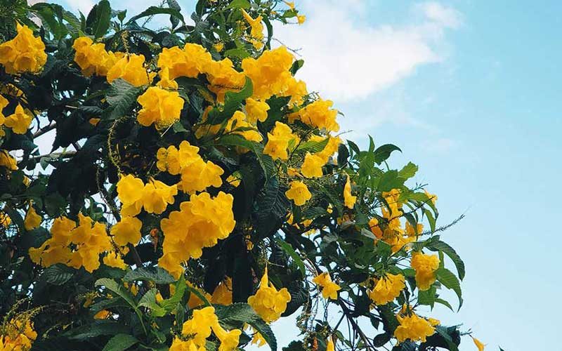 Libertando-se da sabedoria convencional